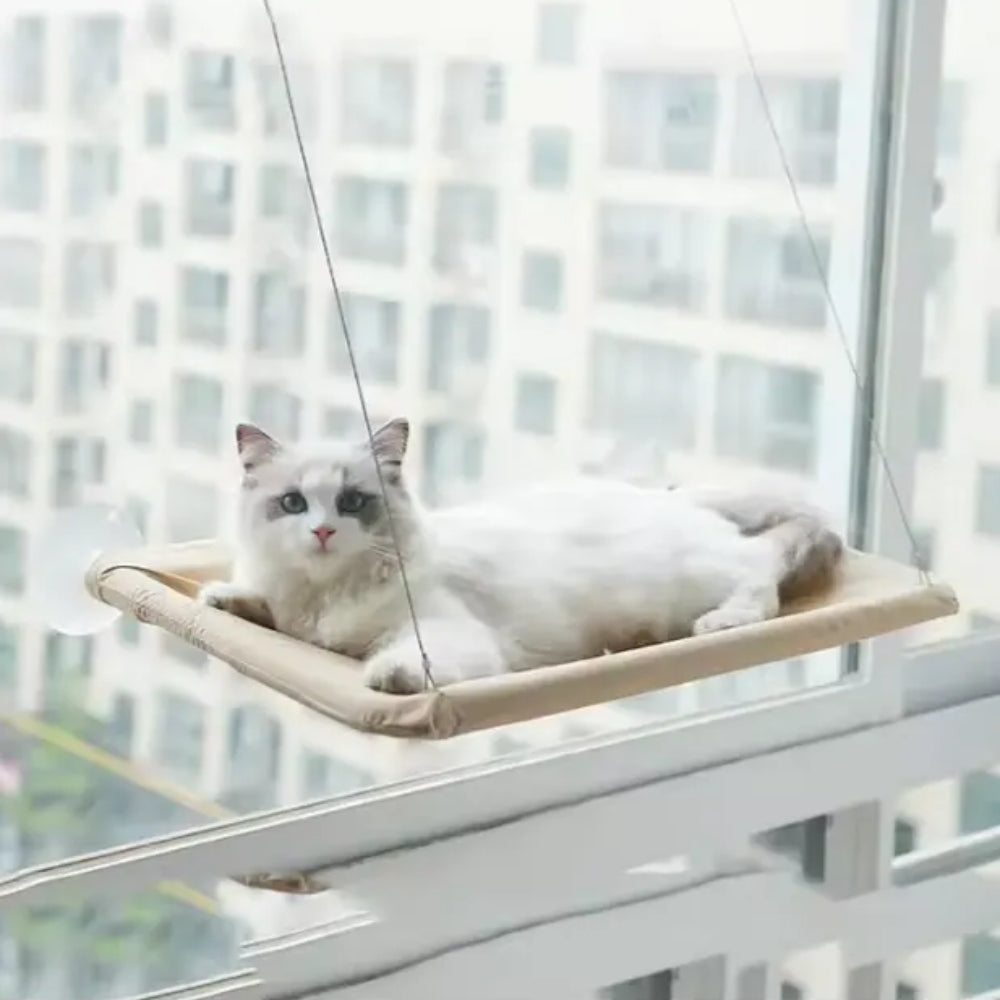 Pet Cat Hammock Hanging Cat Bed Bearing Pet Accessories_2